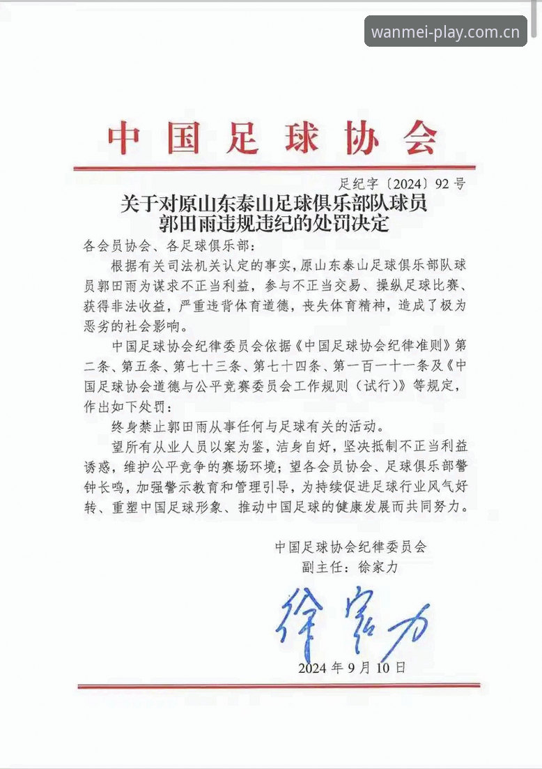 完美体育官方网站 足协禁足完整指南:第三批处罚名单深度解读与操作手册